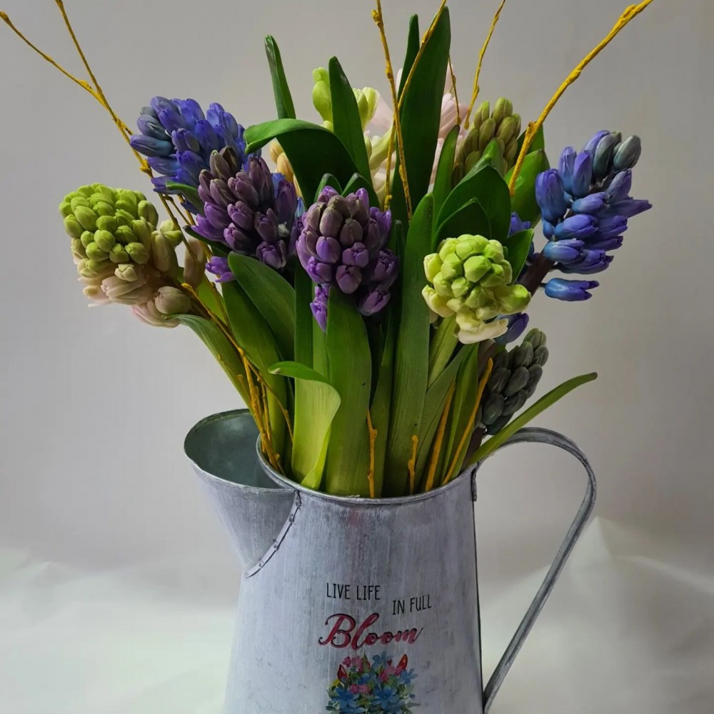 jug of hyacinths