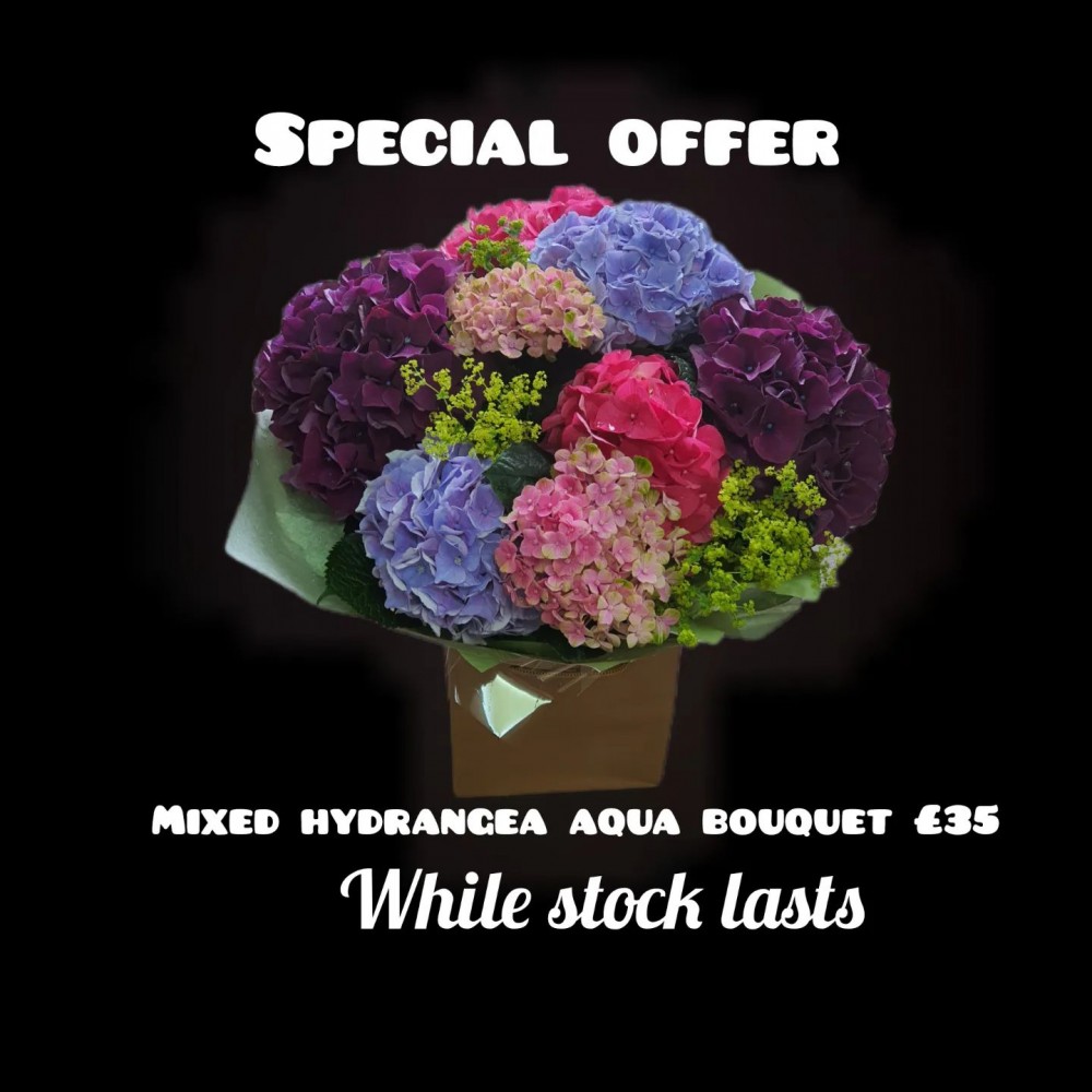 Hydrangea bouquet ...special offer