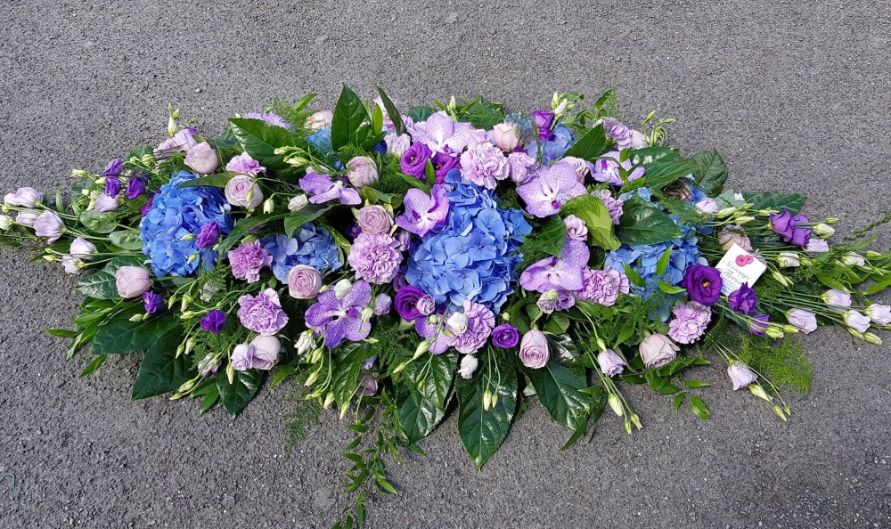 lilac and blue casket sp