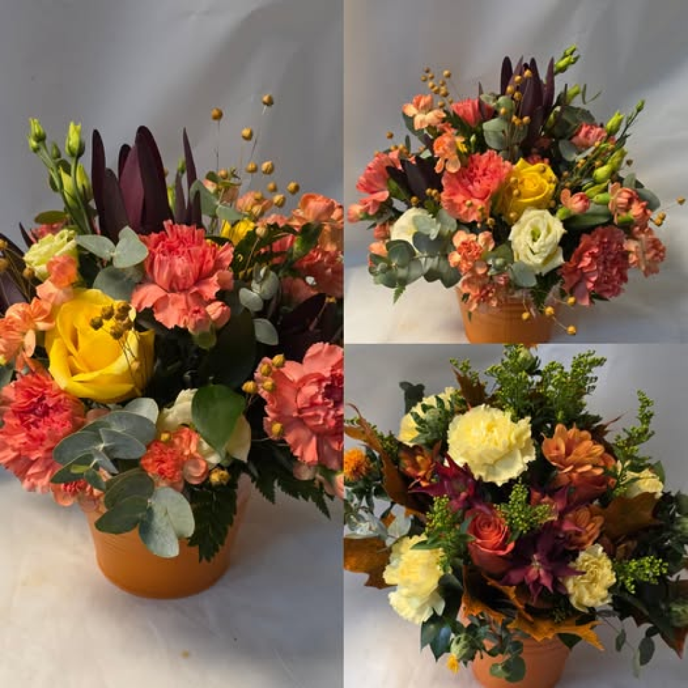 autumnal round pot arr